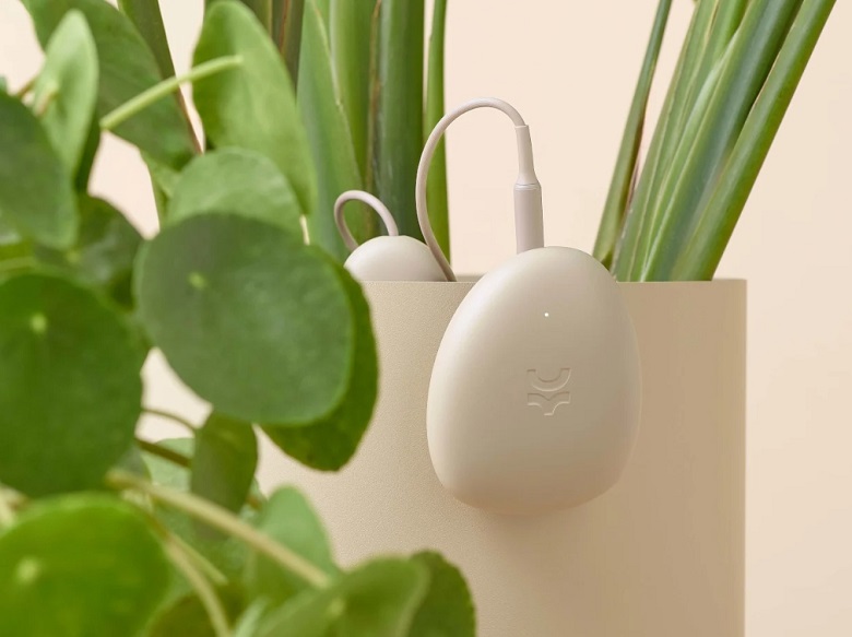 植物传感器.jpg